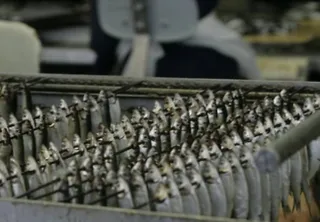 Капитал - В шпротах из Латвии выявлен канцероген