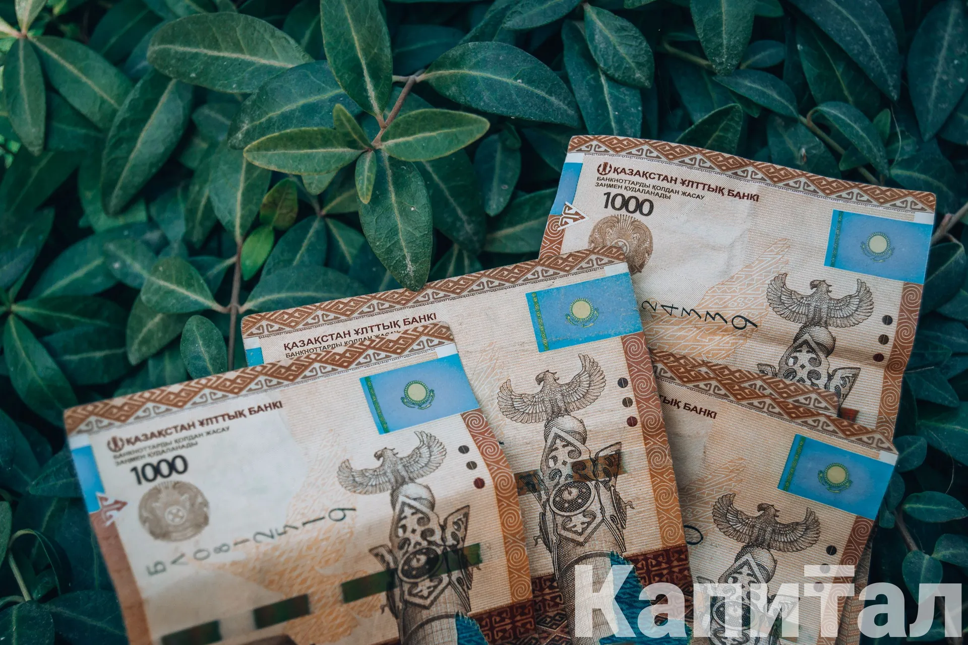 Валерия Змейкова