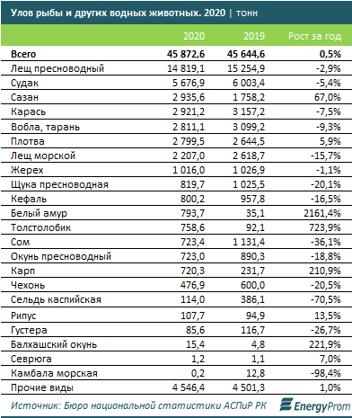 Цены на рыбу и морепродукты выросли за год на 9,3% 853700 - Kapital.kz 