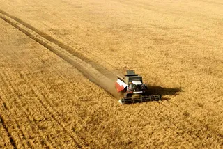 Капитал - Россия может стать крупнейшим экспортером пшеницы