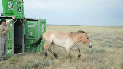 Фото: Министерство экологии и природных ресурсов РК 