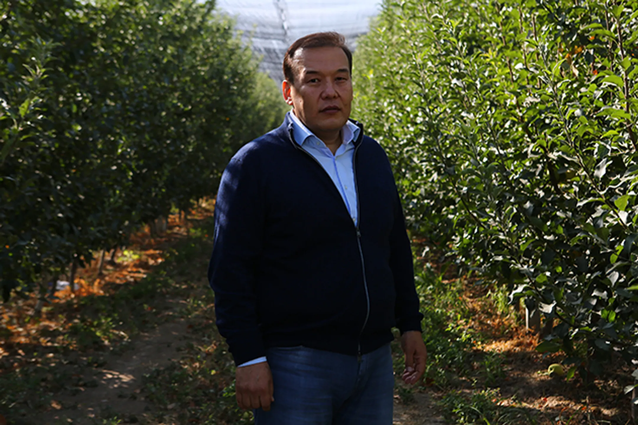 Яблочный бизнес: Как реализовать передовой проект - Image Kapital.kz