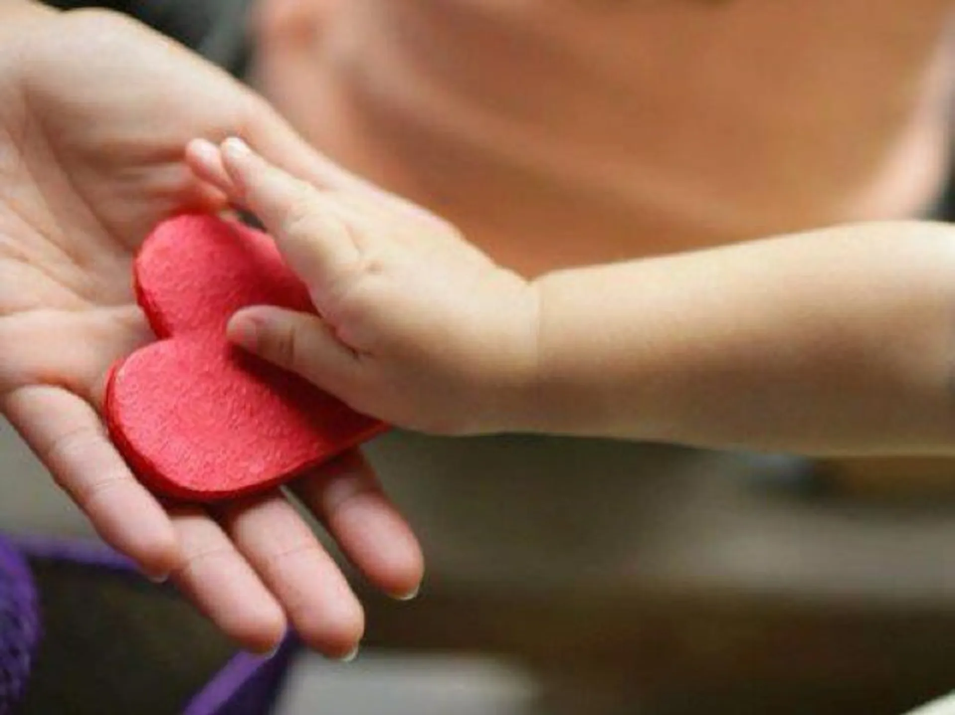 Капитал - НПО назвали закон о меценатстве, спонсорстве и благотворительности немилосердным