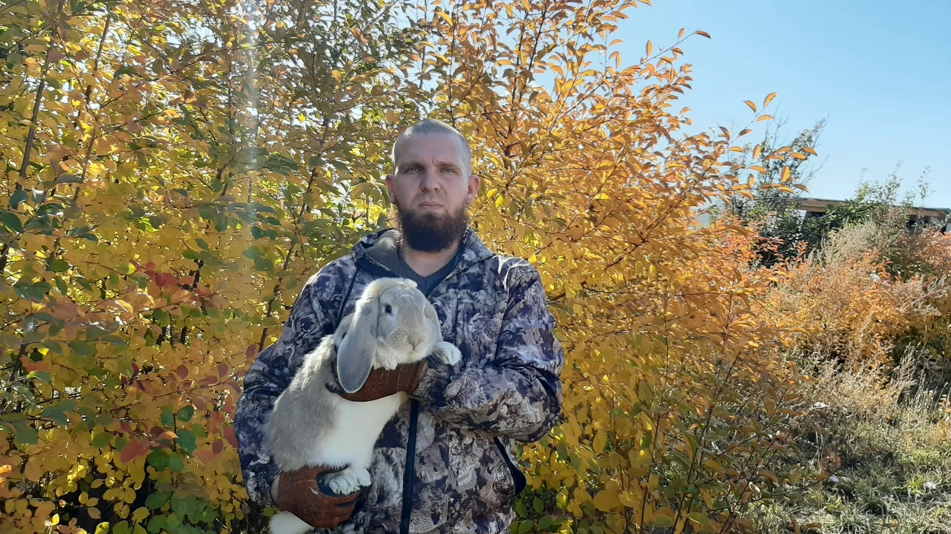 Капитал - Казахстанские кролиководы покрывают лишь 20% спроса