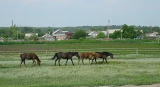 Капитал - 12 аульных округов и 13 сел упразднят на севере РК
