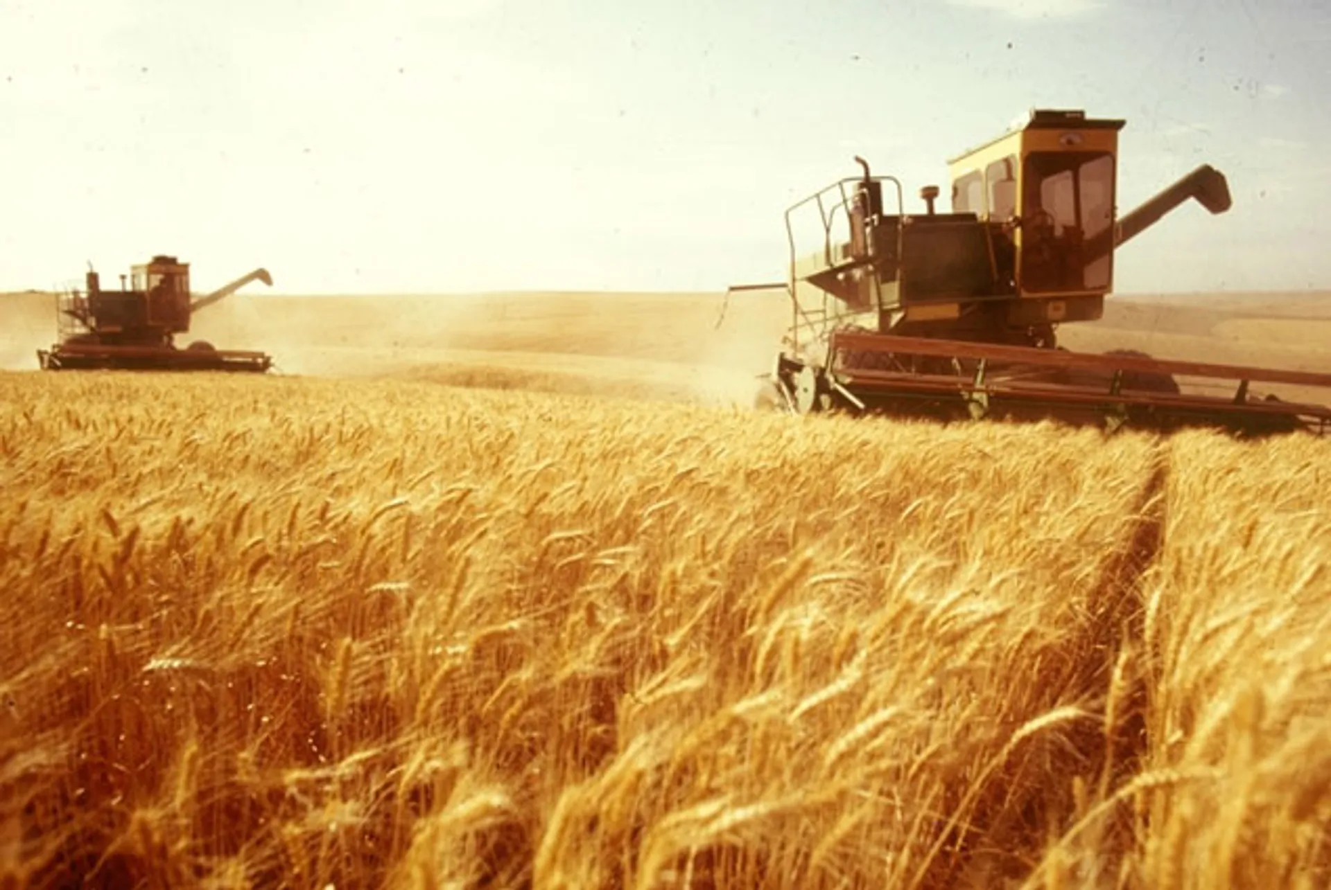 Капитал - РК сможет экспортировать до 9 млн тонн пшеницы