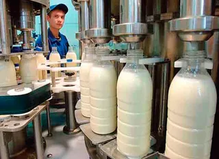 Капитал - В Карагандинской области построят завод по переработке молока