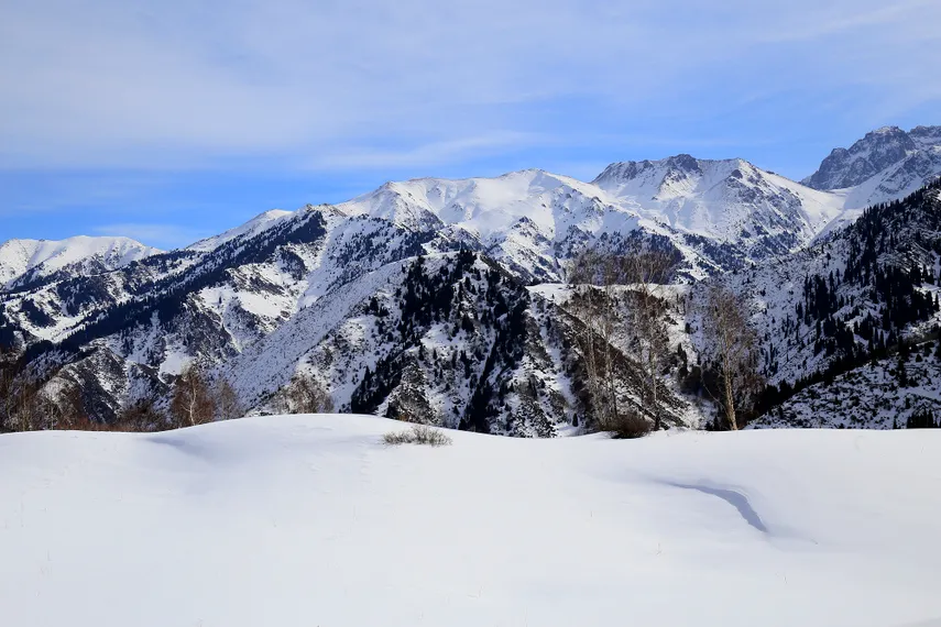 Фото: Руслан Пряников