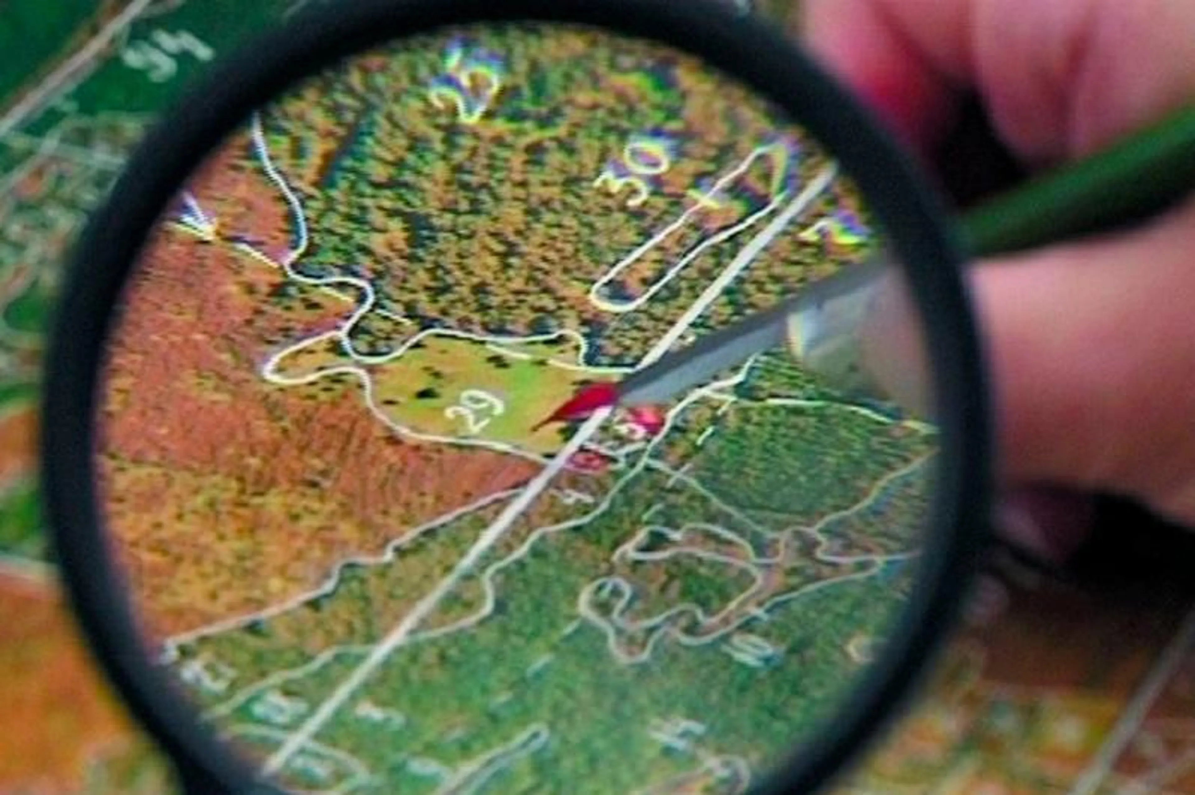 Капитал - Космический мониторинг выявил около 10 млн га неиспользуемых земель