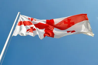 В Грузии назревает политический кризис