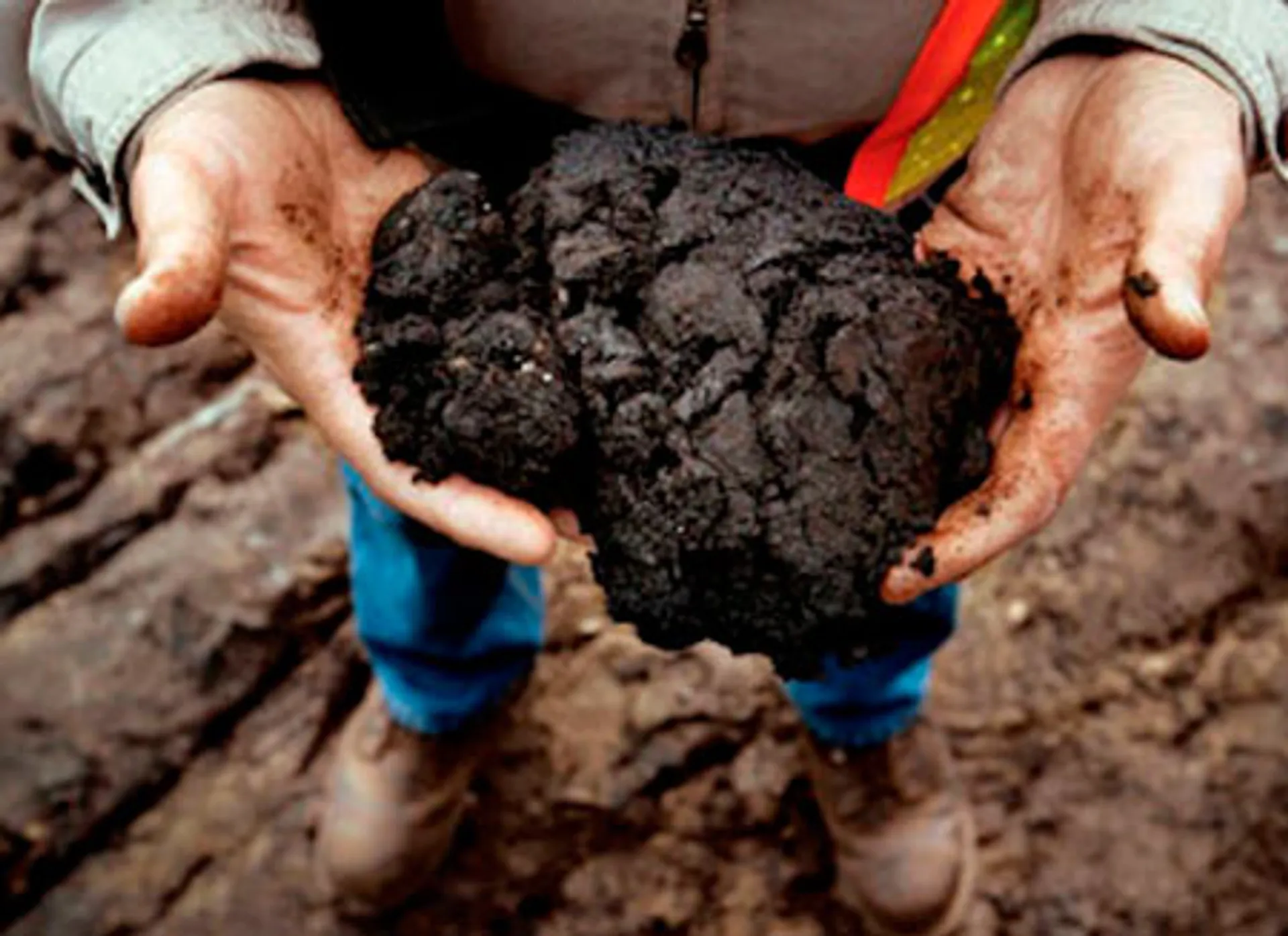 Капитал - Сланцевый бум в США может привести к расколу ОПЕК