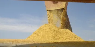 Фото: Руслан Пряников