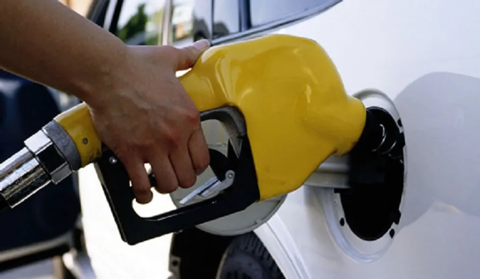 Капитал - В ЕС ограничили использование биотоплива