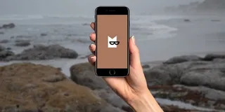 Капитал - Яндекс купил технологию сервиса Bookmate