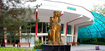 Санаторий Сарыагаш планируют передать в доверительное управление