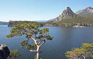 Капитал - Чем французов привлечь в Казахстан?