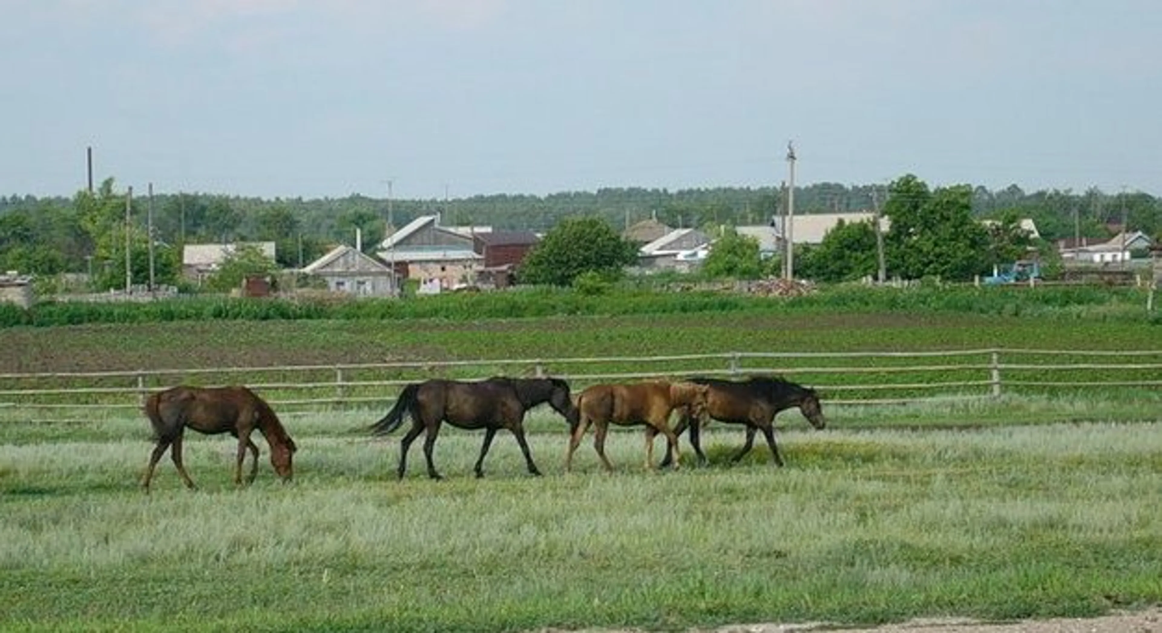 Капитал - 12 аульных округов и 13 сел упразднят на севере РК
