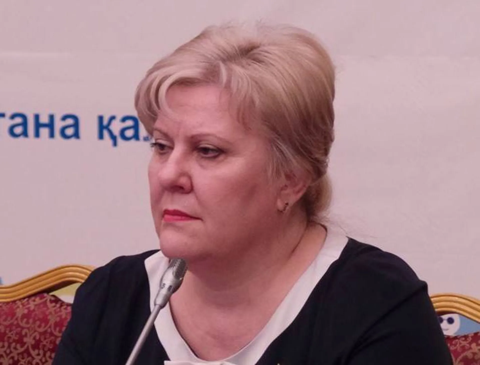 Капитал - Закон о меценатстве планируют разработать в РК