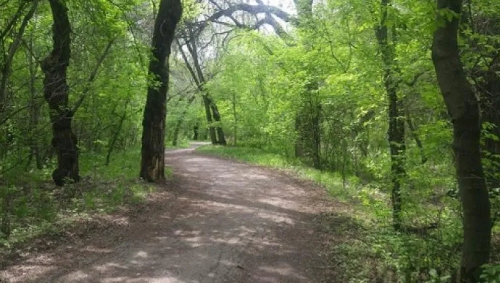 Капитал - Захваченные земельные участки в роще Баума возвращены городу