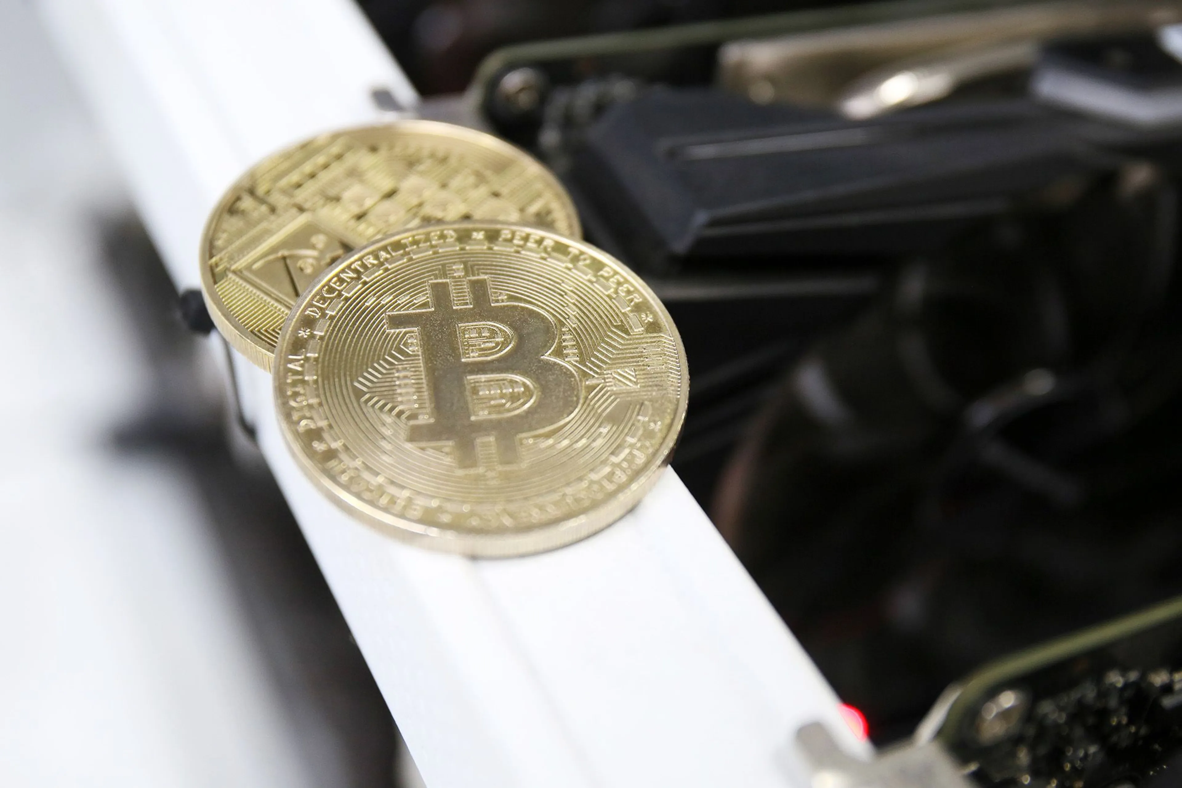 Фото: Руслан Пряников