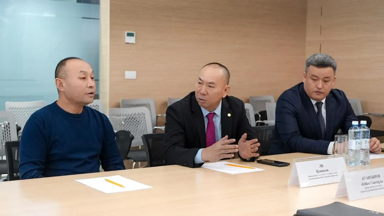 Китайская Zhongyoung Power рассматривает возможность участия в МЭКС