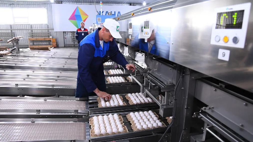 Капитал - Бакытжану Сагинтаеву представили проект «Умная птицефабрика»