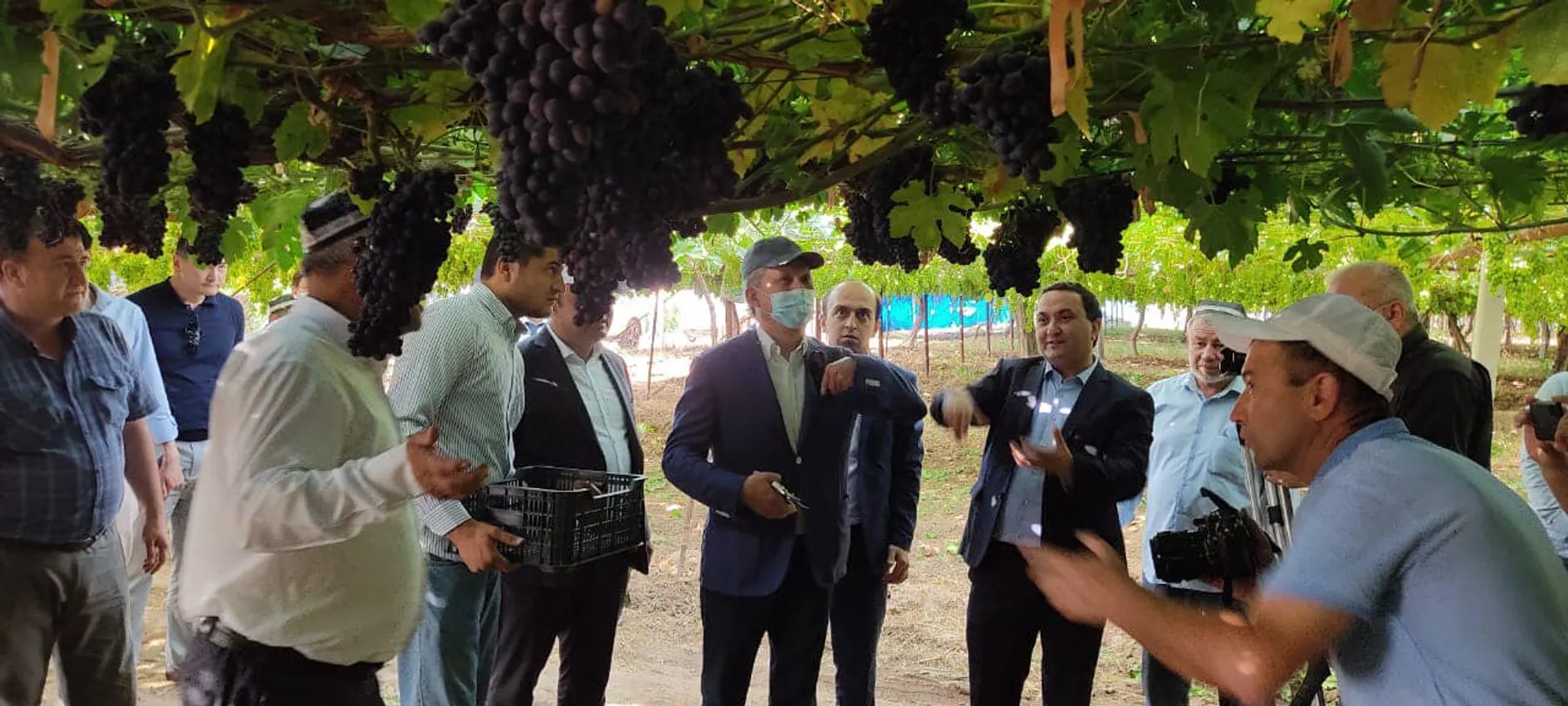 Капитал - С Таджикистаном заключены договоры на поставку винограда и лука