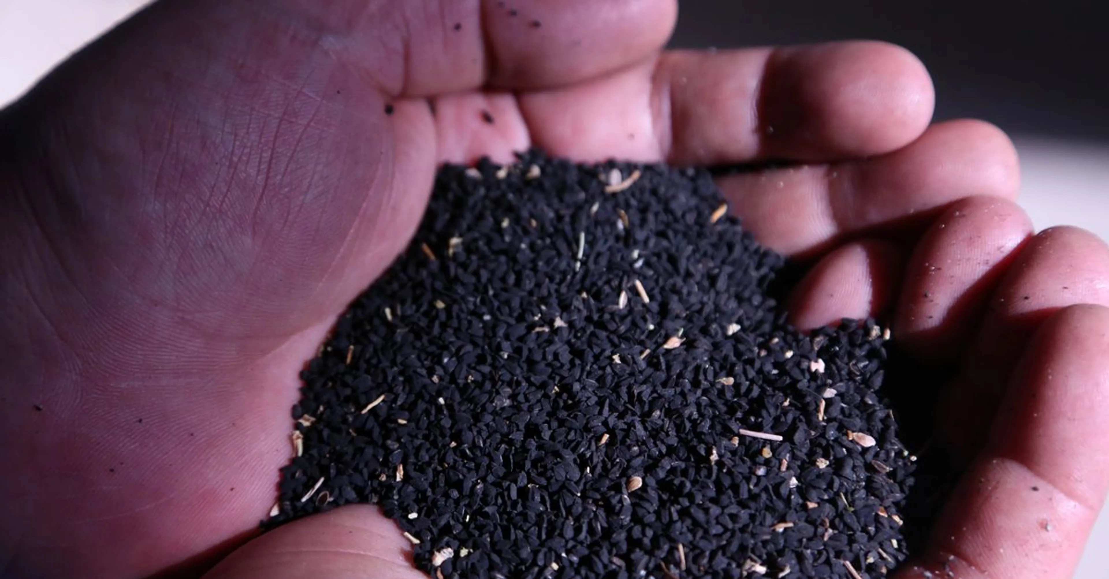 Капитал - В РК будут выращивать редкие виды растений