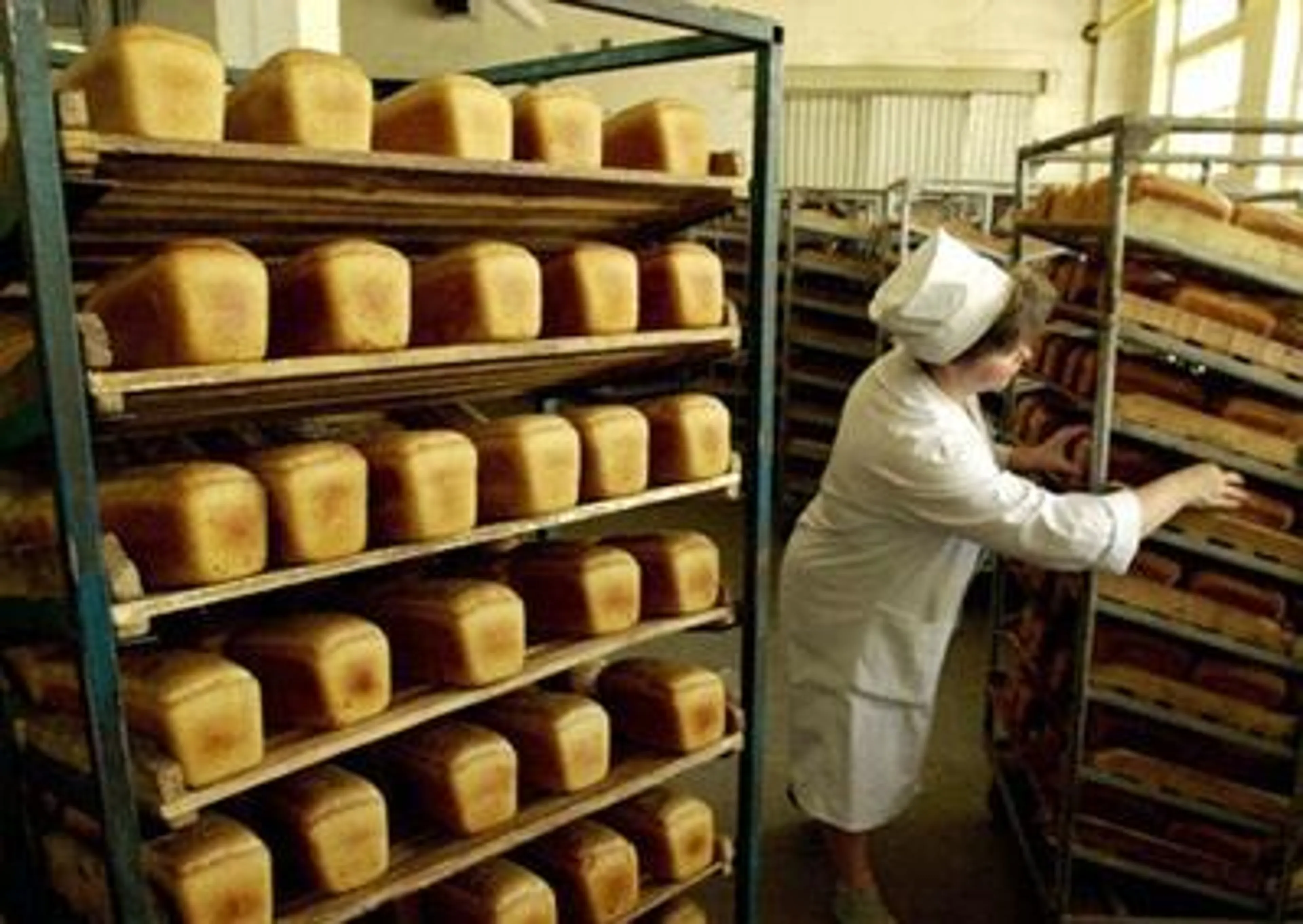 Капитал - Южному Казахстану грозит дефицит хлеба