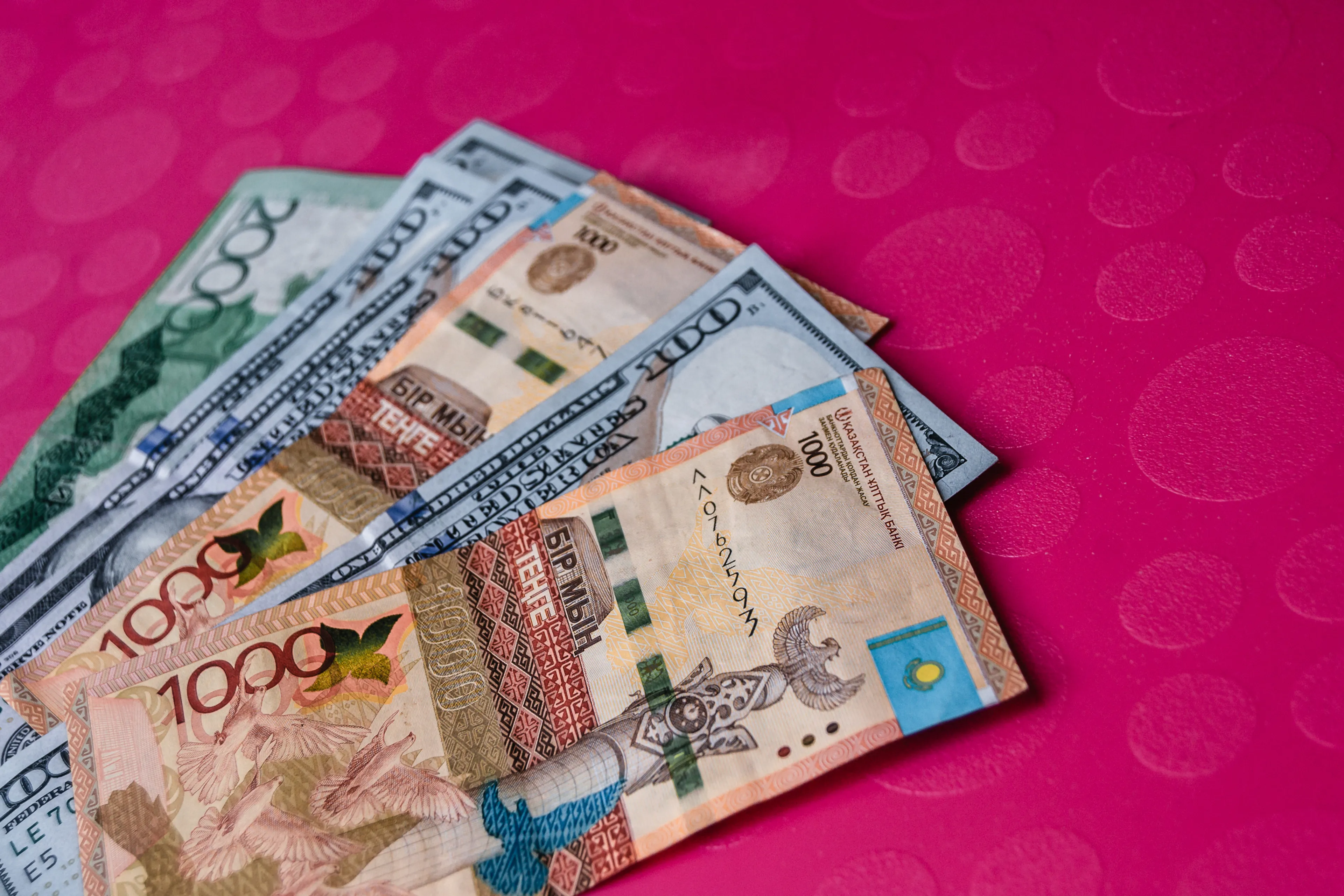 Фото: Валерия Змейкова