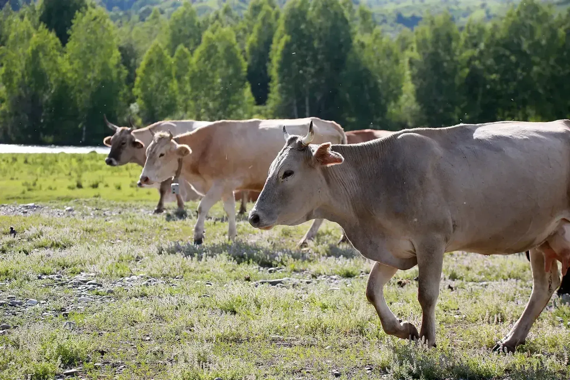 Фото: Руслан Пряников
