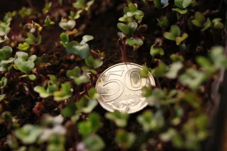 Фото: Руслан Пряников