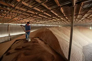 Капитал - Биржа ЕТС подвела итоги торгов зернового рынка за январь