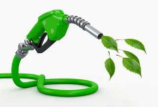 Капитал - В поисках альтернативы бензину