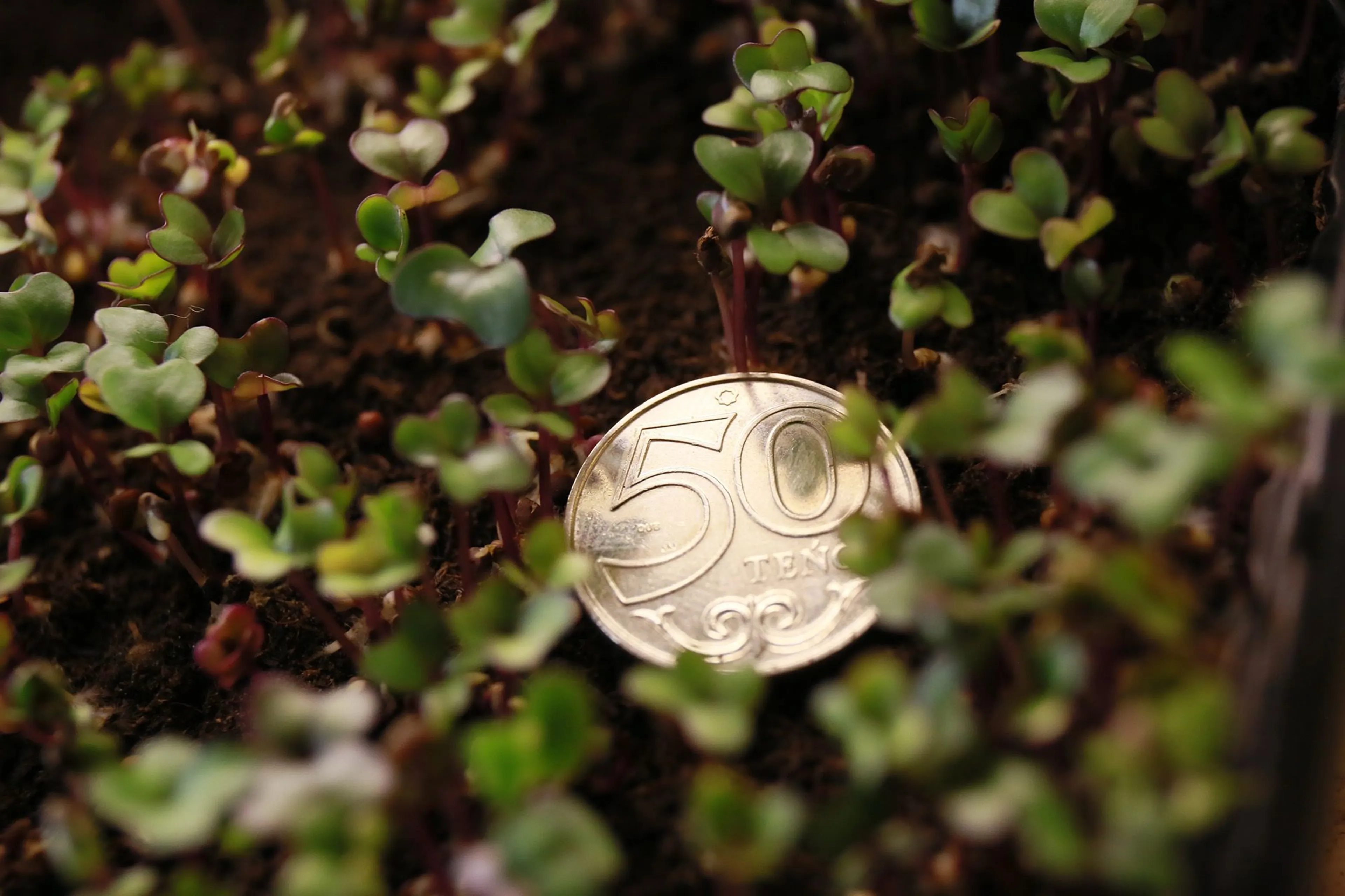 Фото: Руслан Пряников