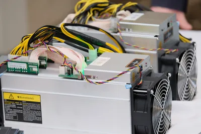 Эксперт: Спрос на оборудование для майнинга вырос на 20%