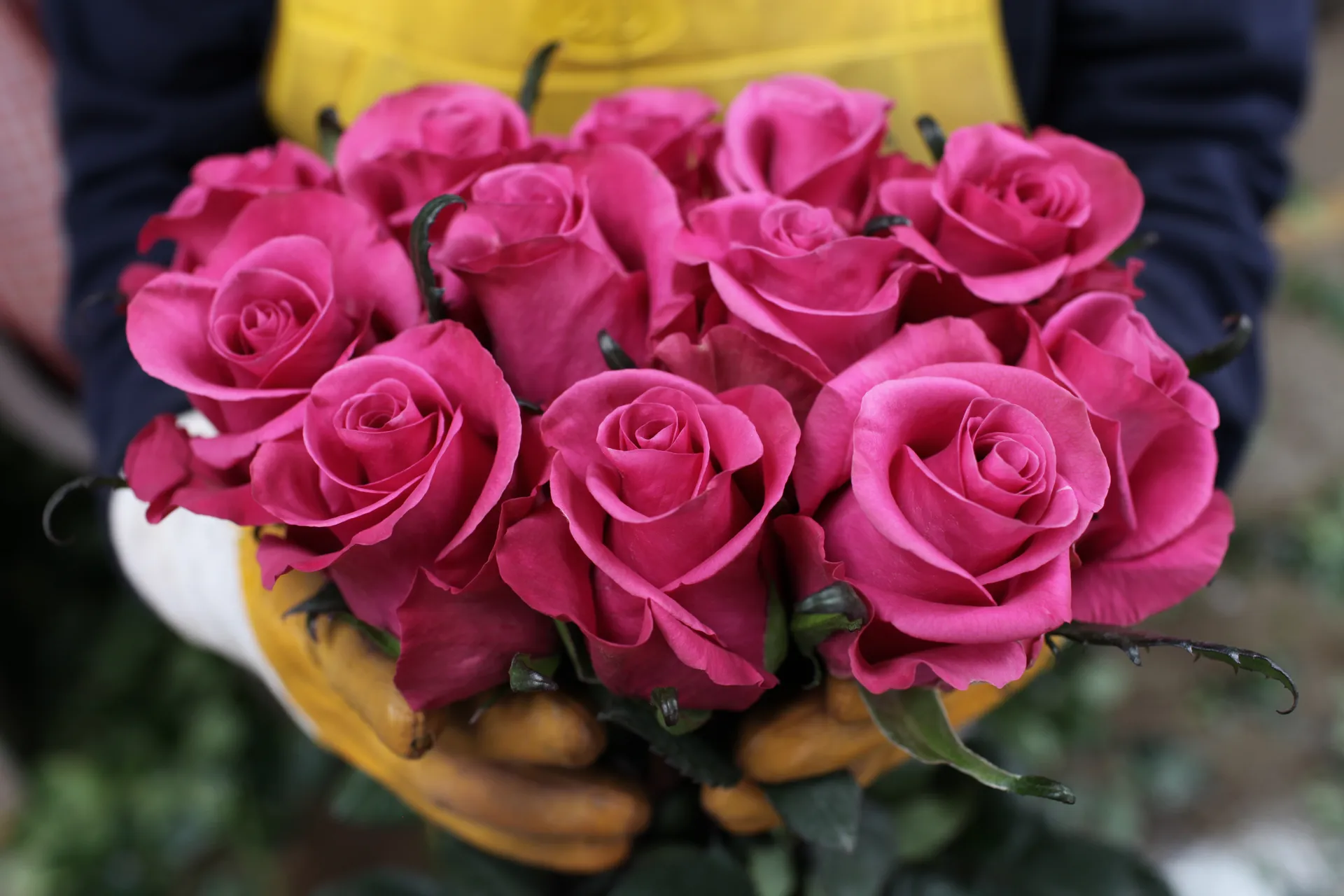 Капитал - Рынок цветов достиг отметки $130 млн