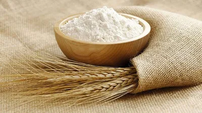 Казахстан наращивает экспорт по всем видам сельхозпродукции кроме мяса