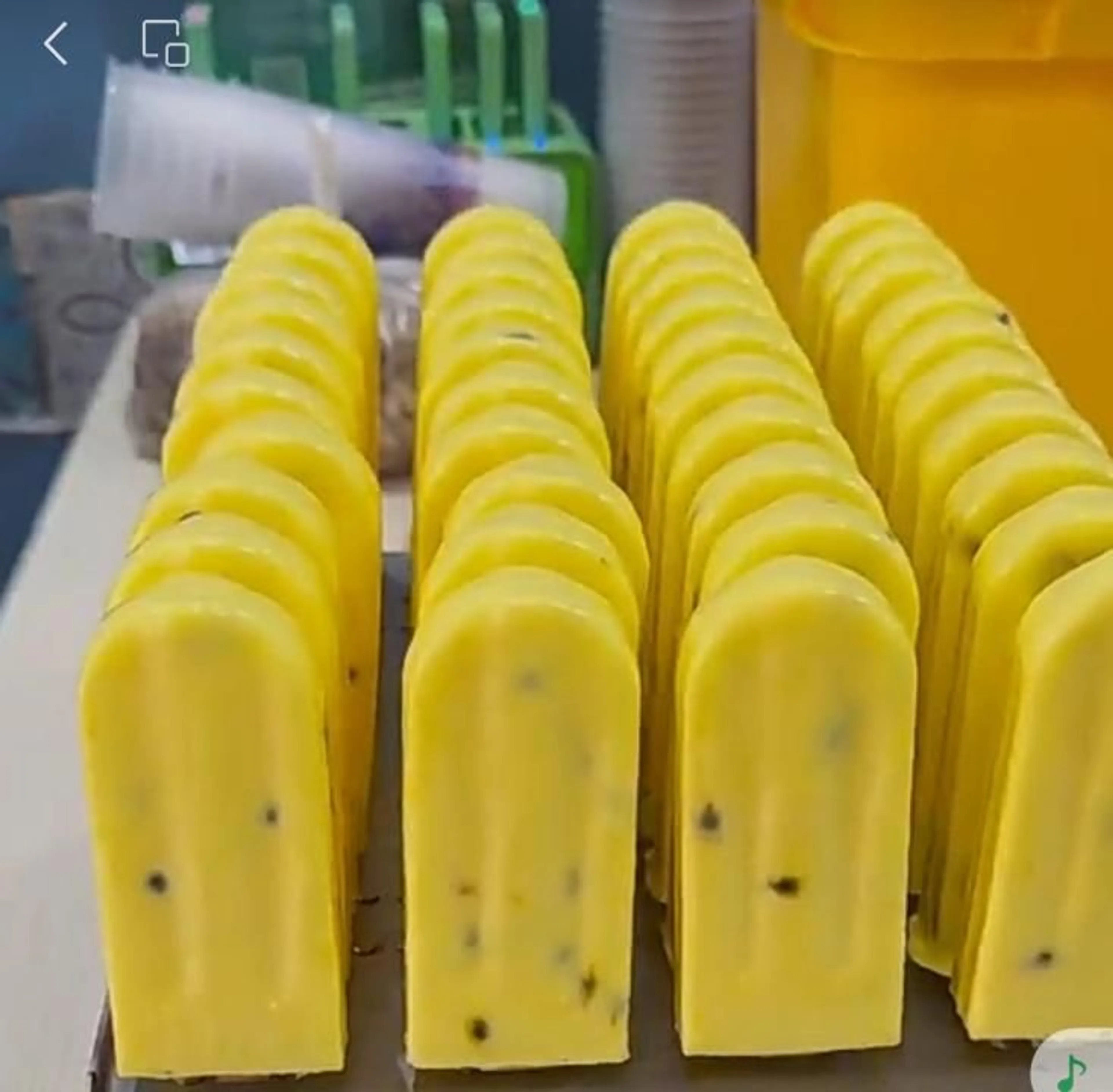 Фото: акимат Туркестанской области 