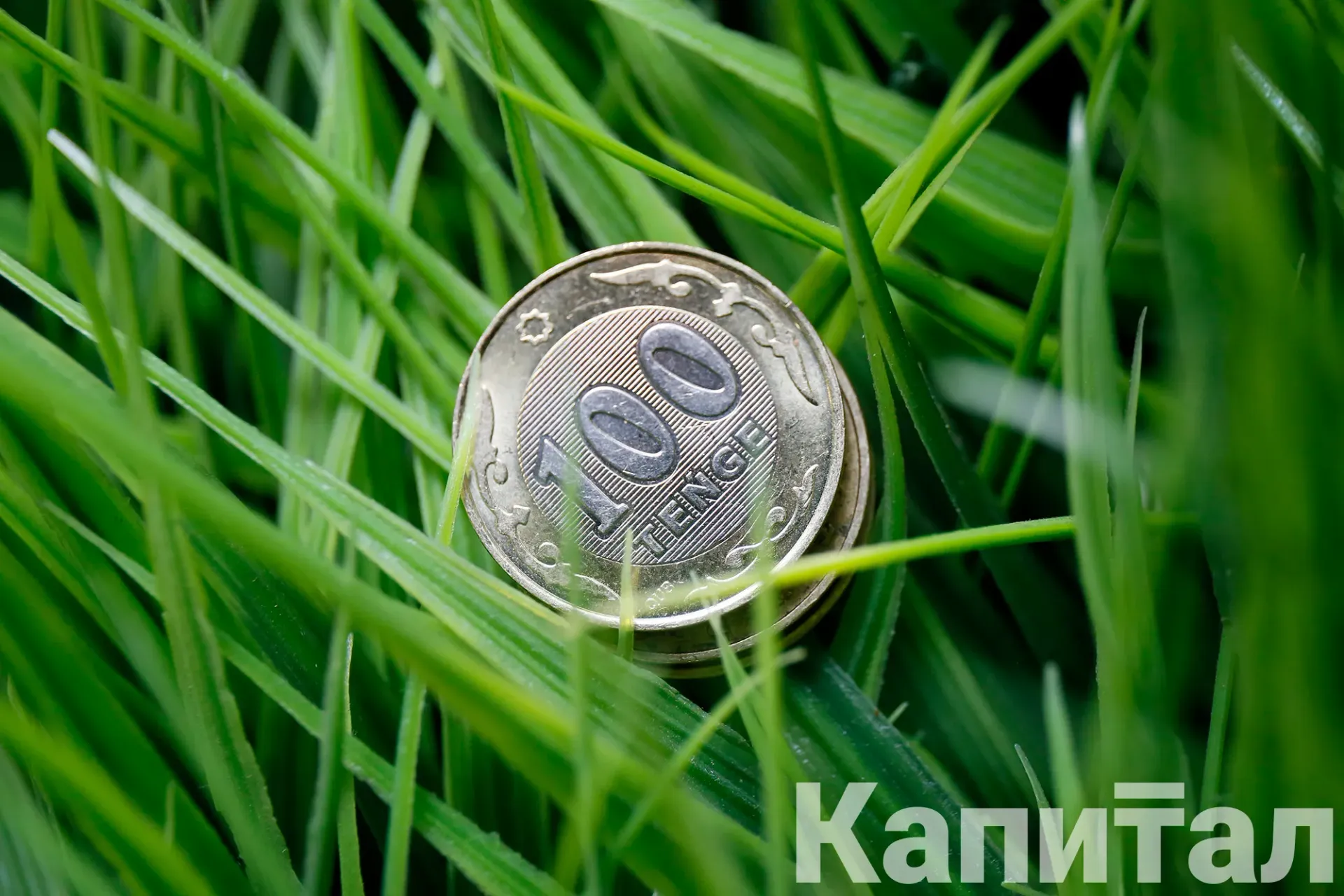 Капитал - Внесены изменения в указ о моратории на проверки бизнеса 2022-08-10