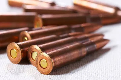 Пакет с патронами найден на территории ЭКСПО