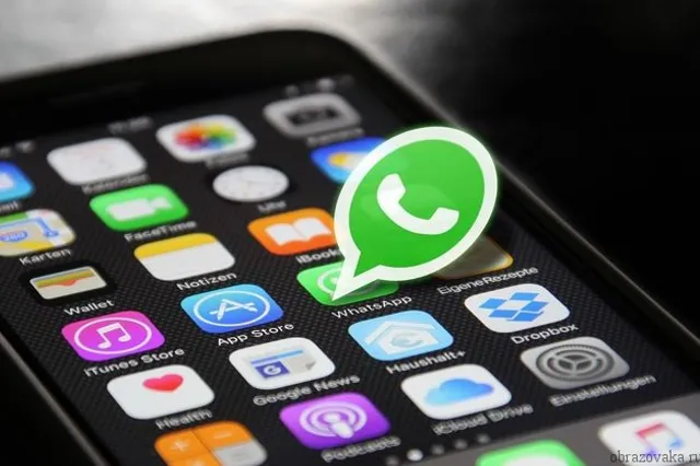WhatsApp начал тестировать функцию исчезающих сообщений
