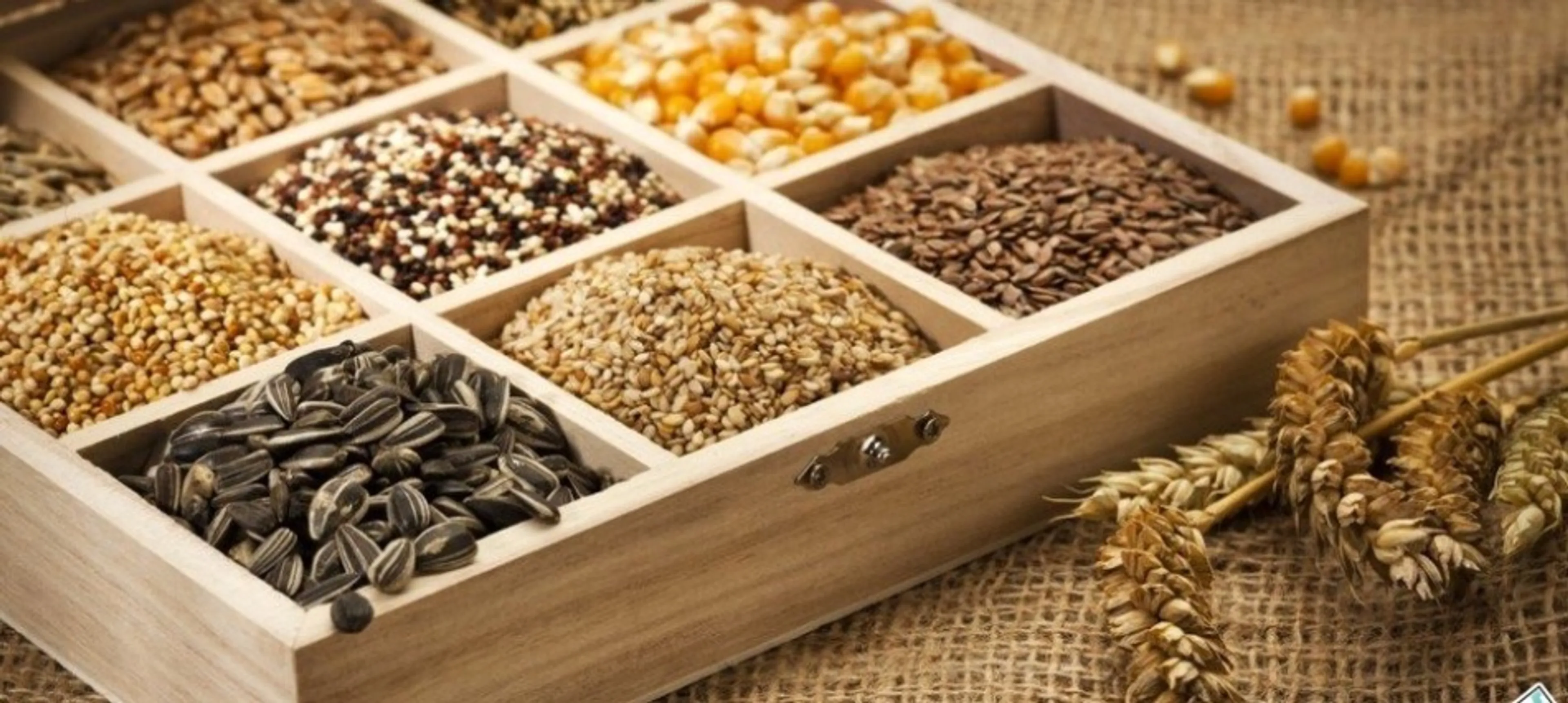 Капитал - Инвесторы вложат в развитие семеноводства $25 млн