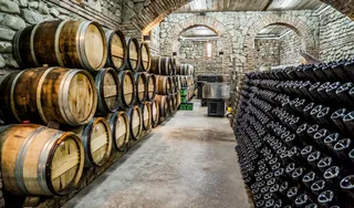 Капитал - Производство вина в мире может вырасти