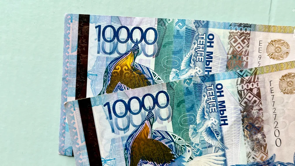 Фото: Валерия Змейкова