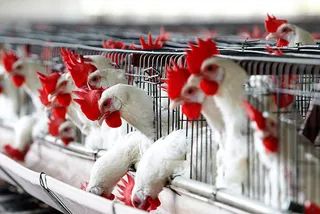 Капитал - США не видят препятствий для вступления РК в ВТО