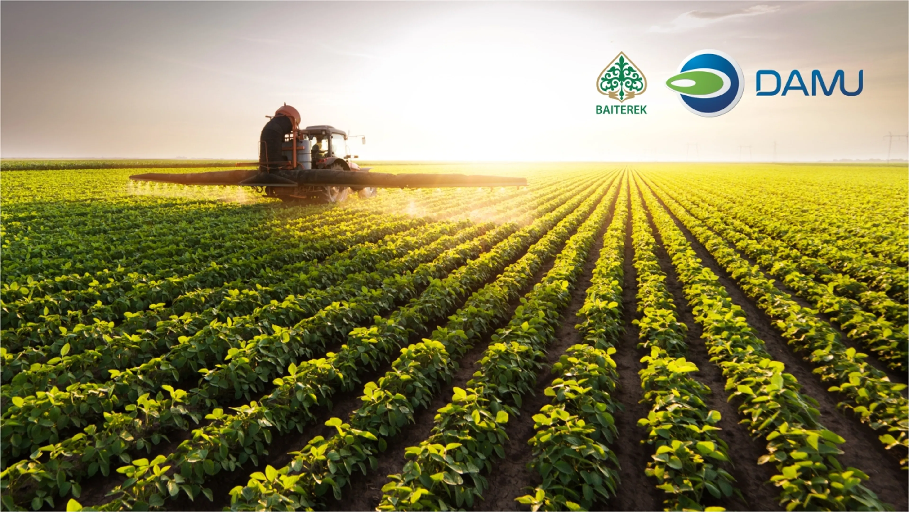 Капитал - Фонд «Даму» расширяет инструмент гарантирования