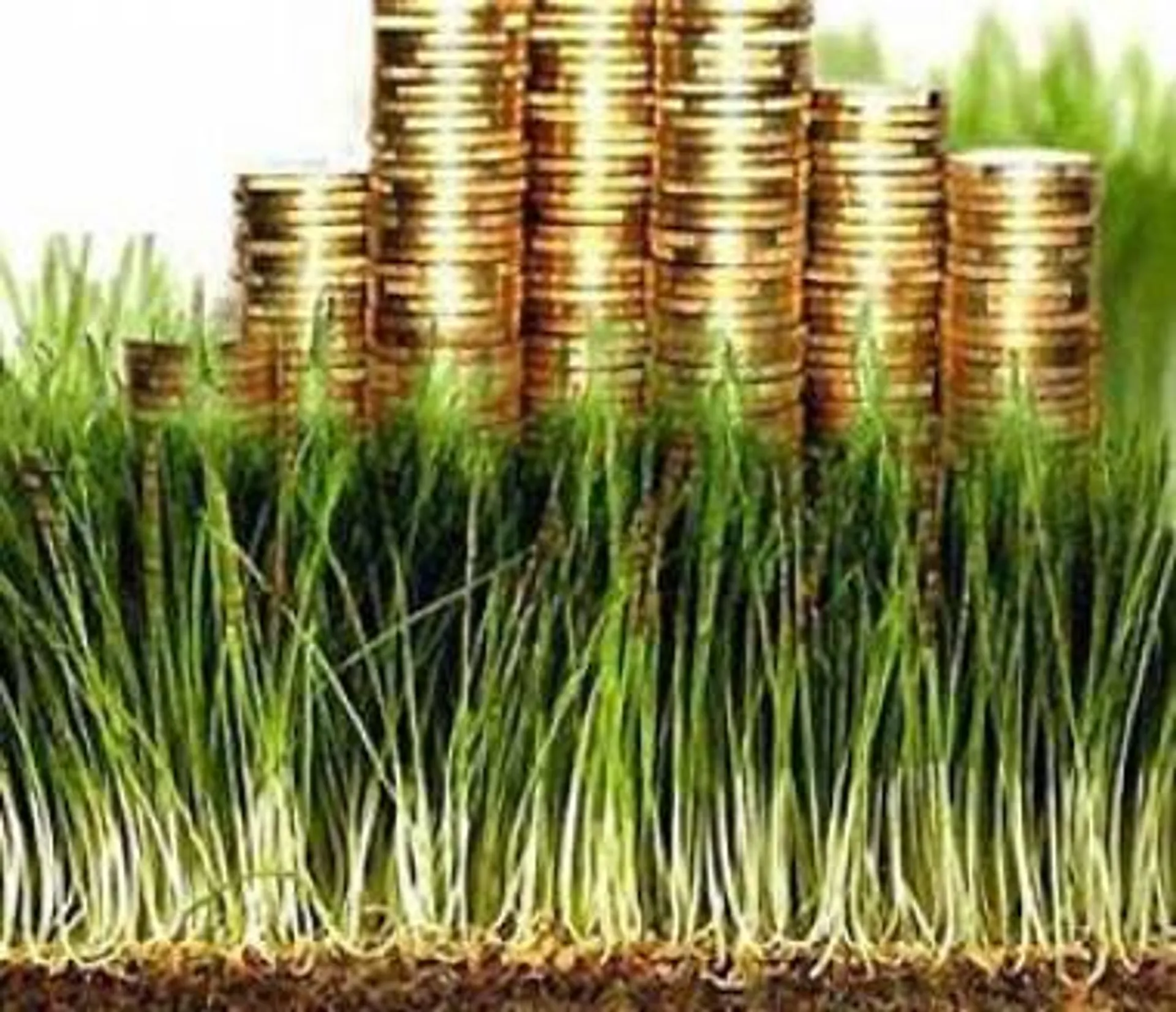 Капитал - В РК пересмотрят принцип начисления земельного налога