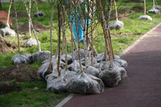 Фото: акимат Алматы