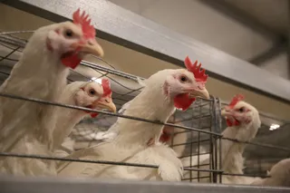 Фото: Руслан Пряников